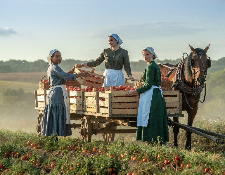 Harvest
